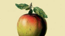 La manzana de Magritte